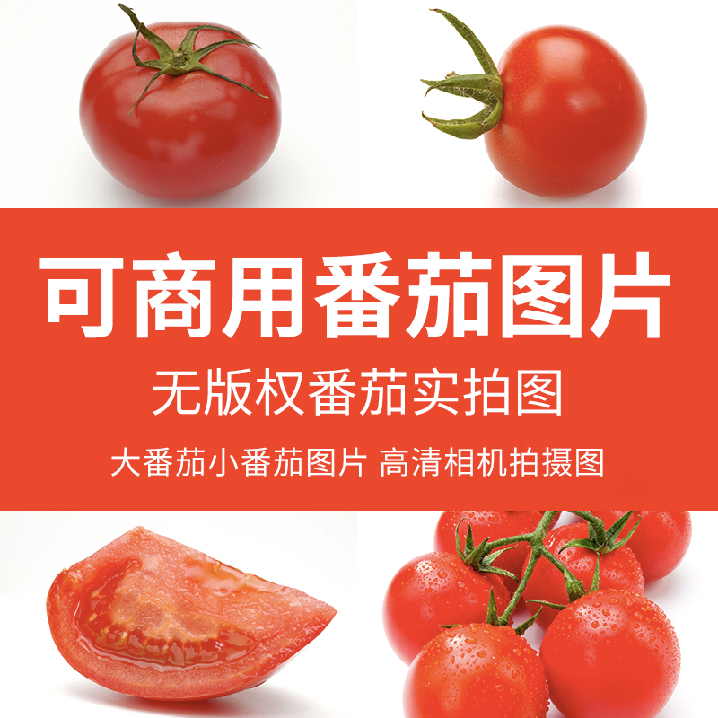 白底番茄实拍图食材摄影小番茄西红柿摄影高清图片素材印刷图