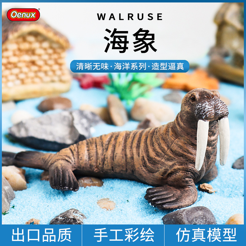 仿真海象海狮海洋动物模型实心塑胶手办微景观水族馆摆件儿童玩具