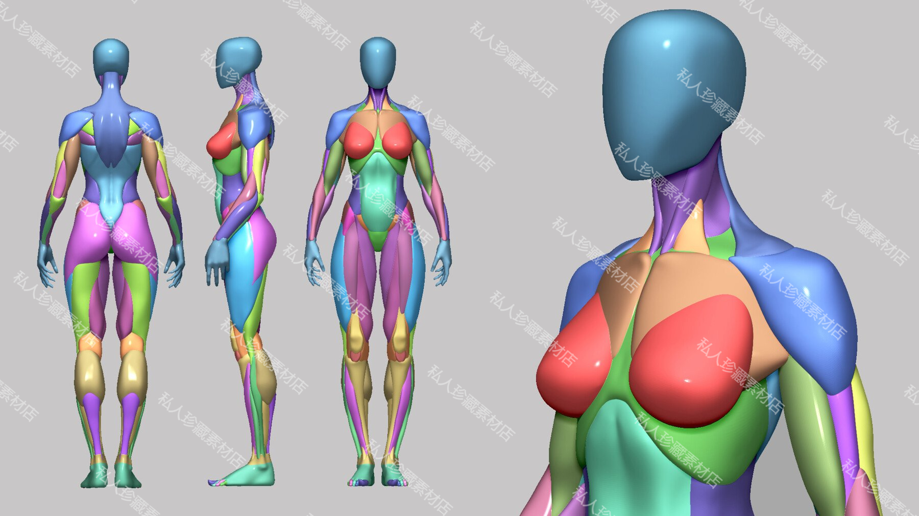 zbrush女性角色3d解剖学基础模型人物素体素模肌肉块游戏CG雕刻zb