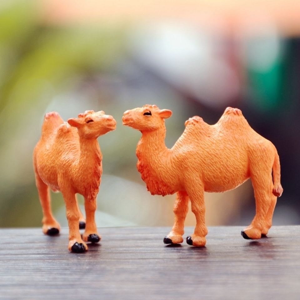 仿真小动物迷你骆驼玩偶微景观场景模型沙漠造景居家沙盘盆景摆件