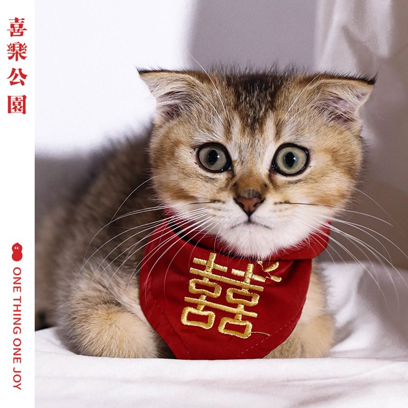 喜乐公园猫猫今天也结婚宠物猫狗口水巾喜字装扮围巾围脖三角巾