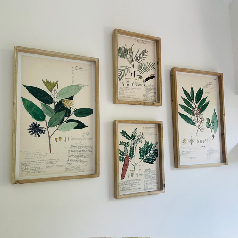 现货~美式乡村干花标本图案装饰画绿植物做旧实木边框挂画壁挂饰