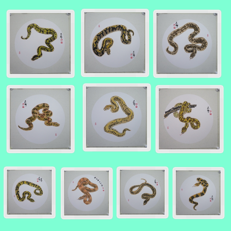 山东省美协会员吴志刚原创手绘动物卡纸小品画蟒蛇50厘米斗方