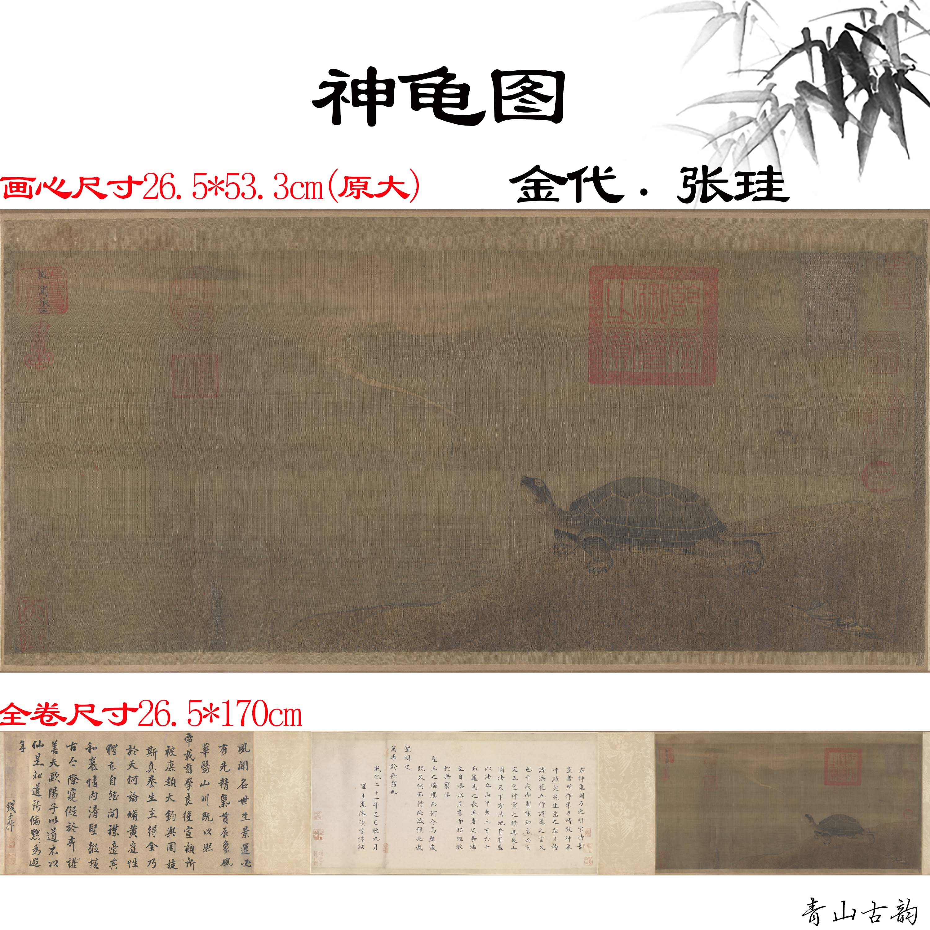 1:1金代 张珪 神龟图绢本设色古代乌龟动物画高清数字微喷装复制