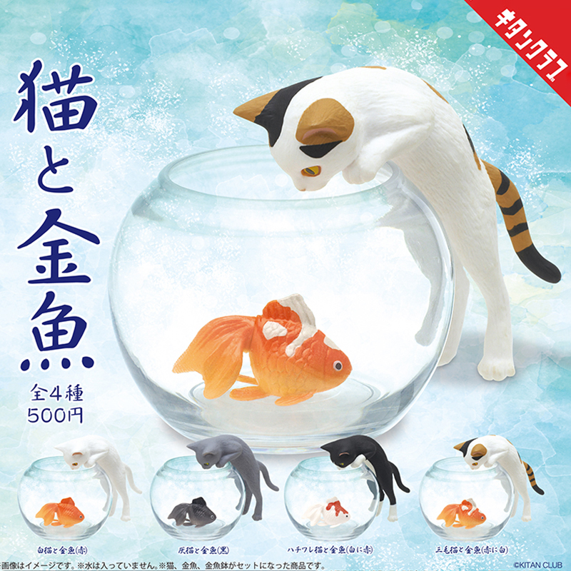 日本正版奇谭KITAN 看金鱼的猫咪扭蛋 捉鱼的三花猫黑猫潮玩摆件