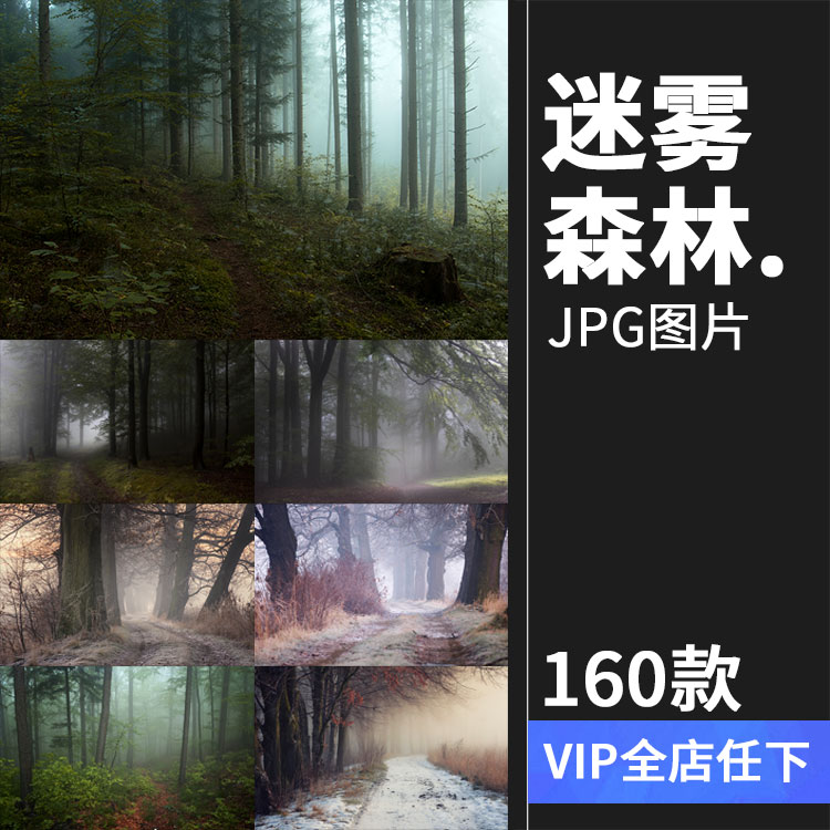 神秘云雾迷雾森林树林阴森恐怖风景高清JPG图片PS后期合成素材