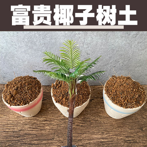 富贵椰子树土专用土室内盆栽营养土酸性沙质土壤办公室花卉种植土