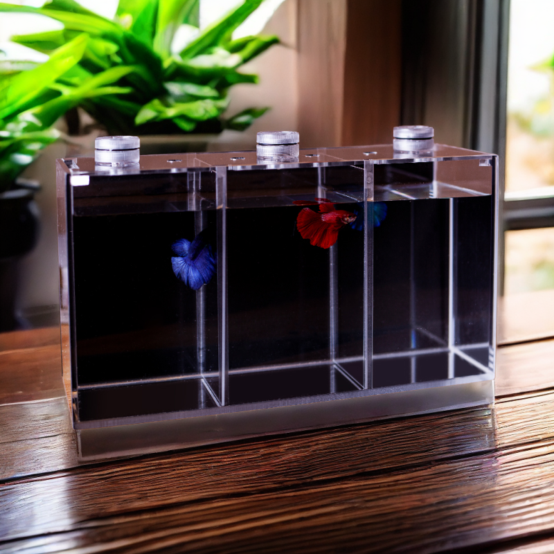 亚克力斗鱼缸桌面客厅3合1观赏鱼水族箱三格有机玻璃泰国斗鱼专用