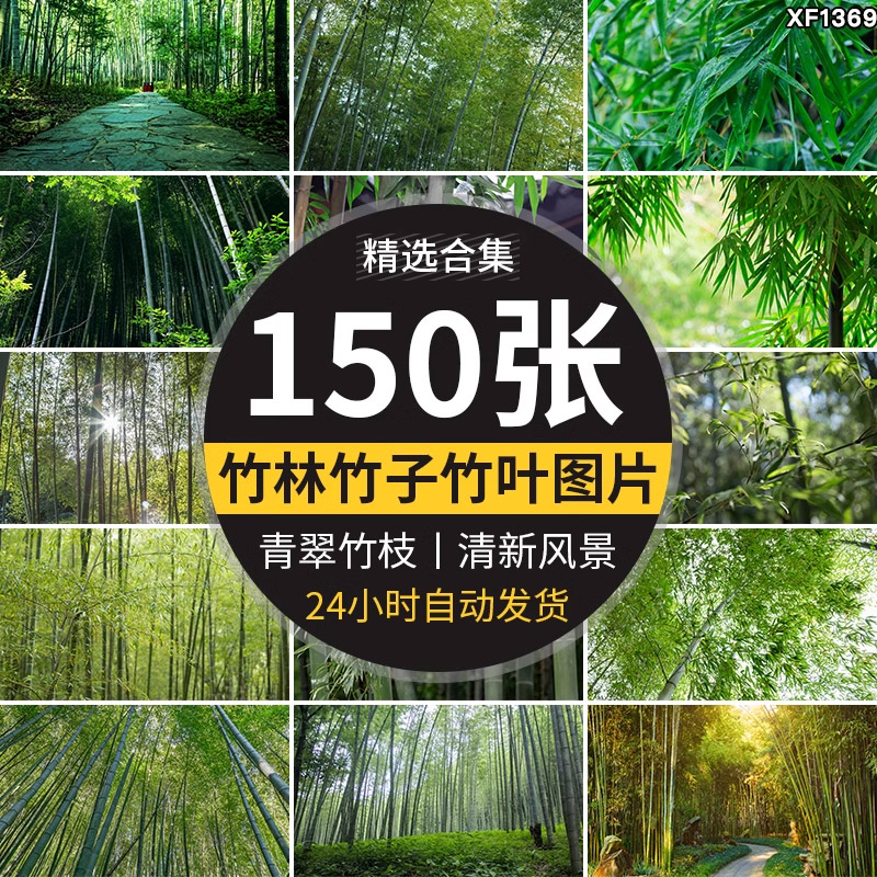 竹林竹子竹叶子绿色小清新青翠植物背景自然风景摄影JPG图片素材