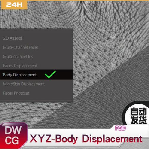 XYZ 身体置换贴图 Body Displacement 手 脚 腿 胸 背等 皮肤毛孔