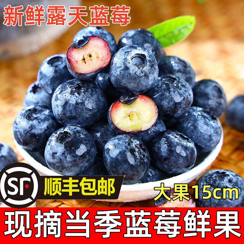 山东高原新鲜蓝莓王鲜果盒装应当季水果现摘现发孕妇整箱大果包邮