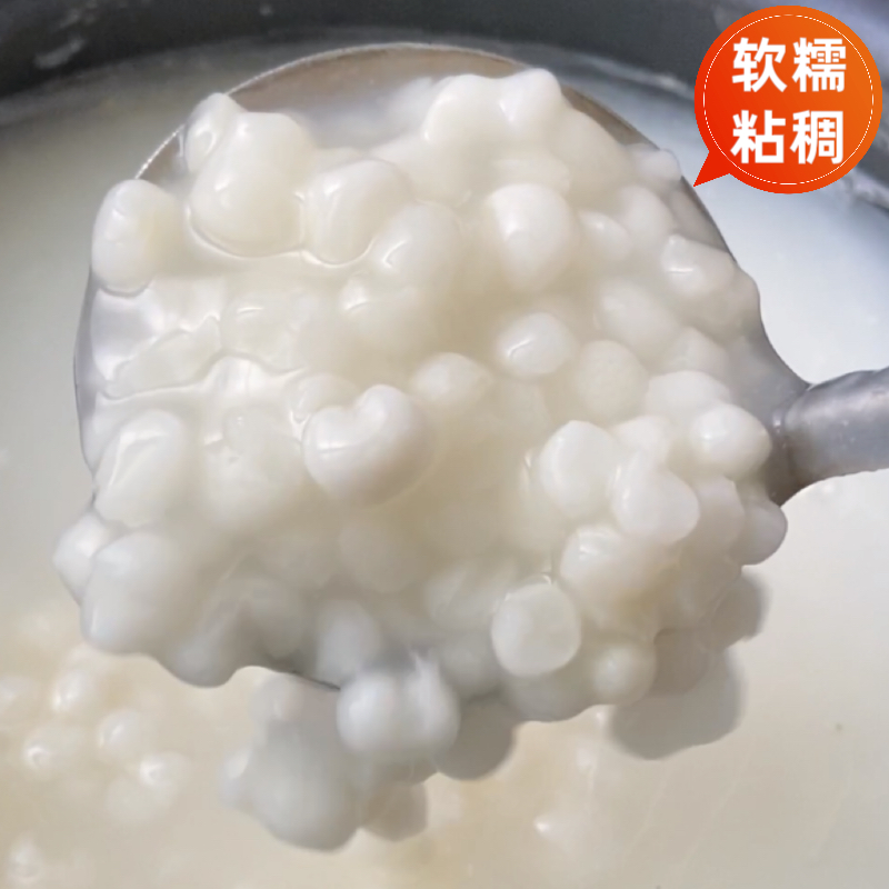 新雪芽米广西忻城珍珠糯玉米头整粒脱皮白玉米粒大颗粒杂粮煮糖水