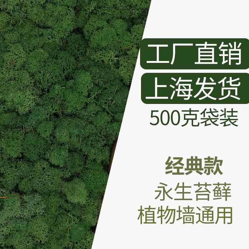 上海工厂永生苔藓袋装永生花绿植墙家用装饰仿真驯鹿苔藓多色可选
