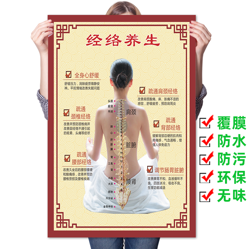 中医经络养生图片美容海报宣传画广告针灸艾灸人体经络穴位图挂图