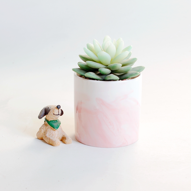 新品粉色水墨中国风圆柱陶瓷盆栽创意卡通多肉植物桌面马卡龙花盆