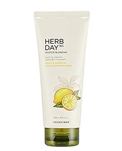 The Face Shop Herb Day 365 Master Blending Cleansing Foam Le
