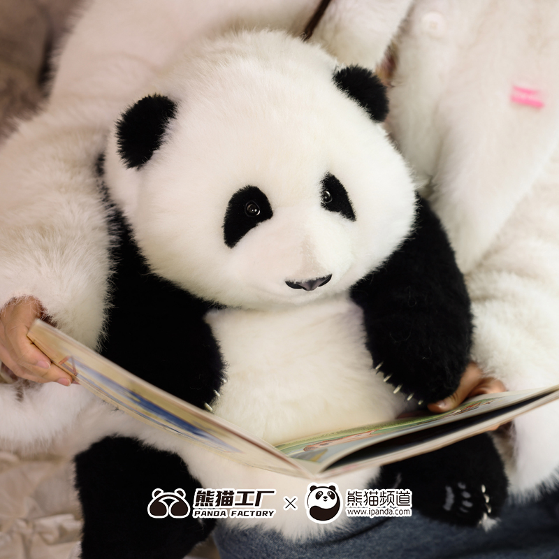 熊猫工厂官方6月龄和花花仿真熊猫基地玩偶大号公仔羊皮毛绒玩具