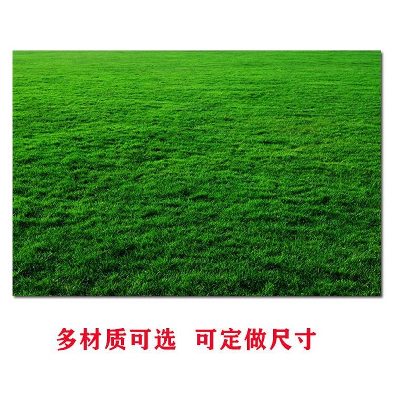 绿色护眼壁纸草坪