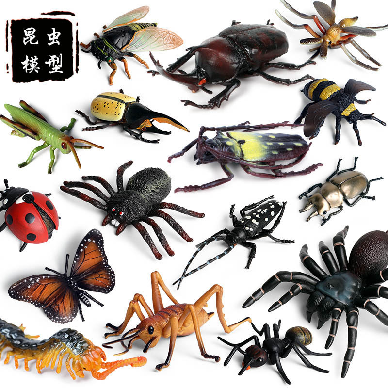 儿童仿真昆虫模型动物玩具蜜蜂独仙角蝴蝶草蜢螳螂七星瓢虫礼物