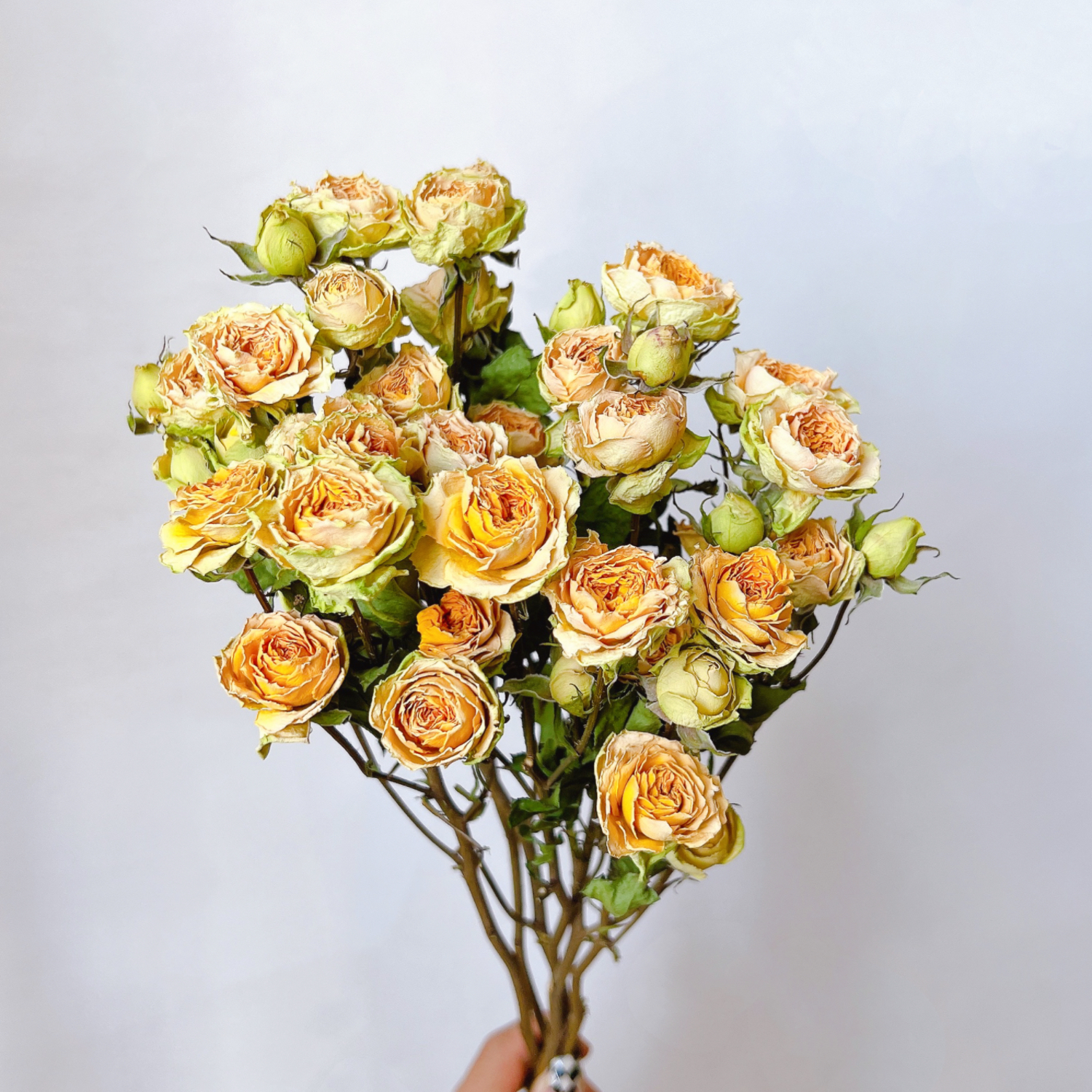 多头玫瑰干花花束蔷薇泡泡天然真花客厅家居插花装饰摆件送人礼物