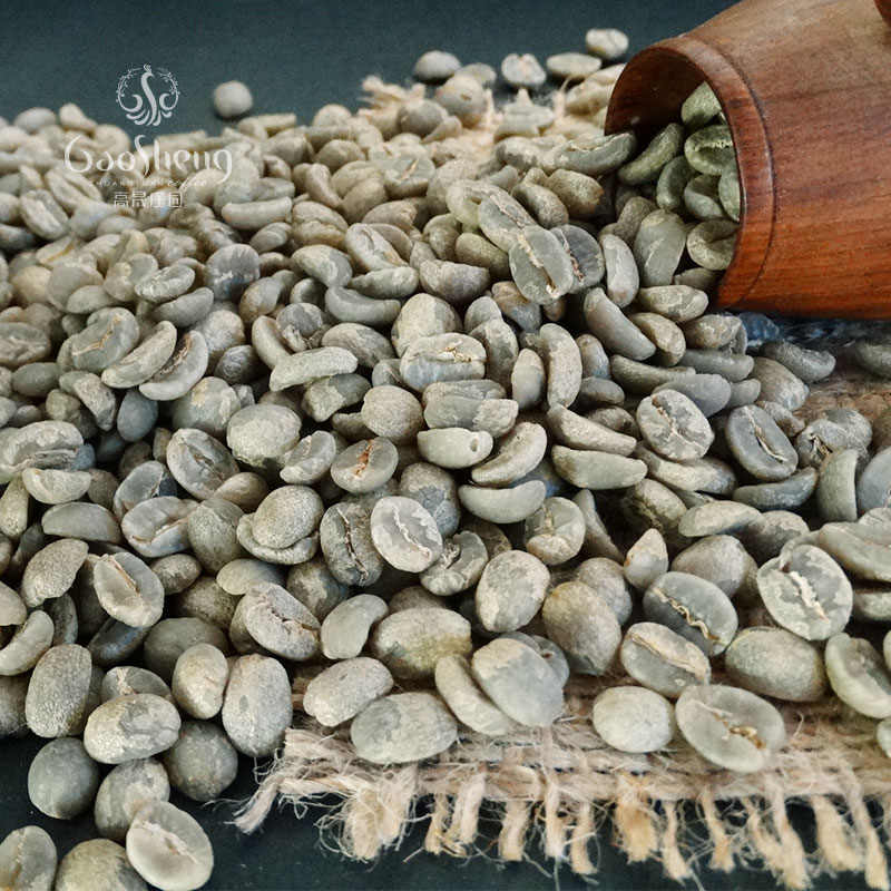 精品水洗 咖啡生豆1000g云南保山阿拉比卡新豆 高晟庄园