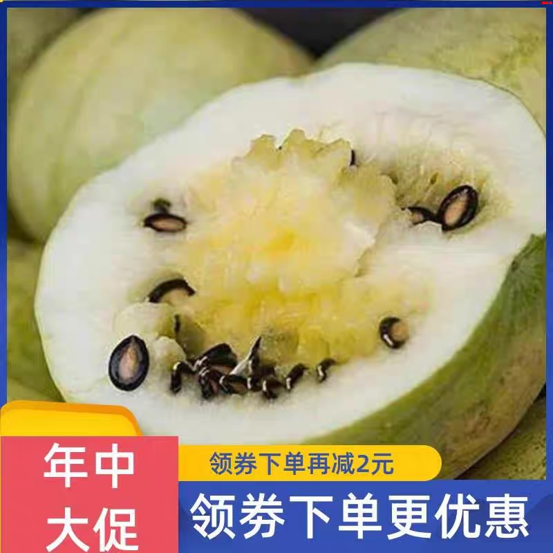 打瓜种子大片黑西瓜子种籽产籽西瓜南瓜高产食籽春季夏季水果种孑
