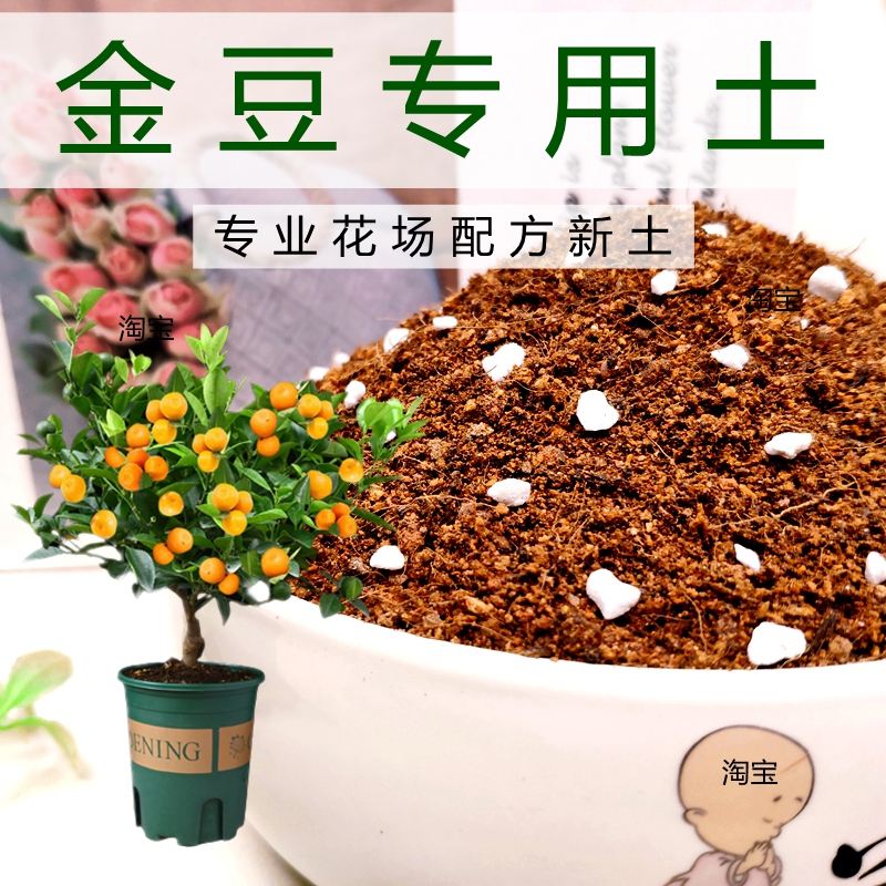 金豆专用土盆栽金桔种植土橘子树花泥养花通用营养土花肥植料特配