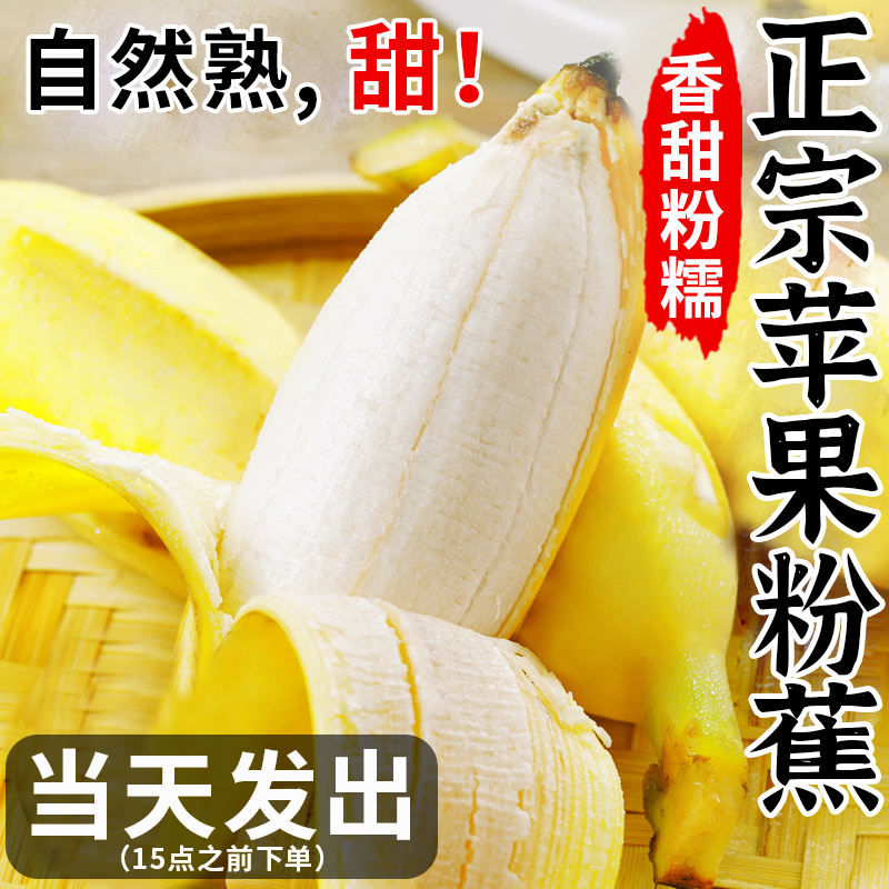 正宗苹果蕉banana香蕉新鲜9斤苹果粉蕉自然熟当季小米芭蕉香焦10