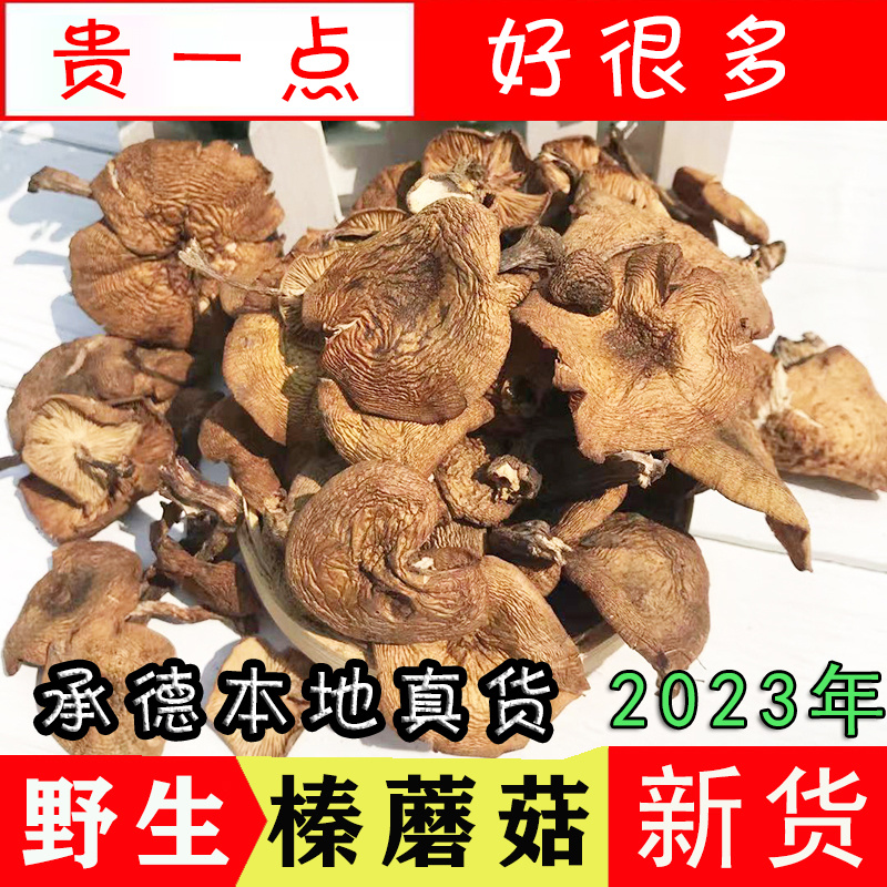 2023年野生榛蘑新货承德本地蘑菇干货土特产可做小鸡炖蘑菇食用菌