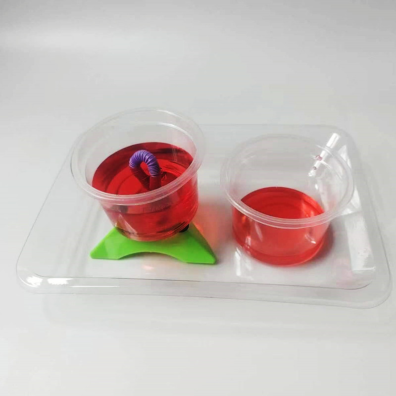 公道杯贪婪的水DIY科技小制作创客发明虹吸科学实验手工教具器材