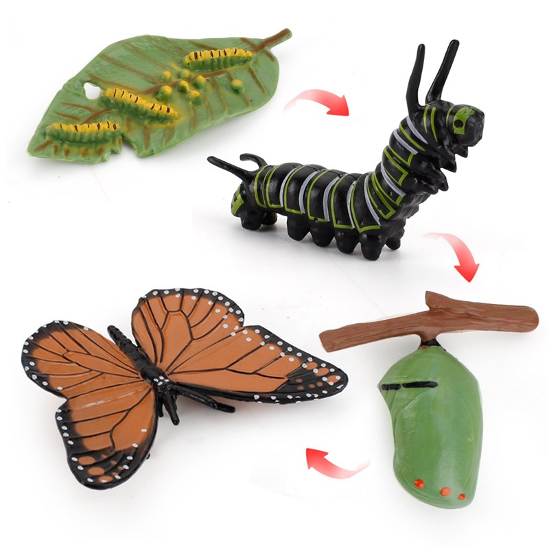 速发儿童科教仿真昆虫动物生命进化模型公鸡蚂蚁蝴蝶蜜蜂成长周期