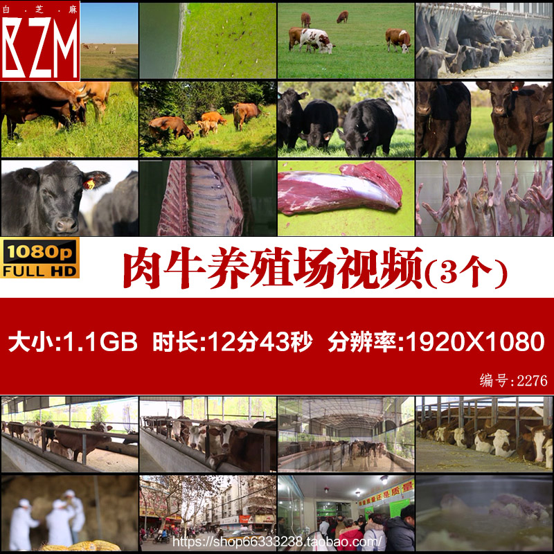 肉牛养殖场畜牧业屠宰场加工牛肉制品高清实拍视频素材