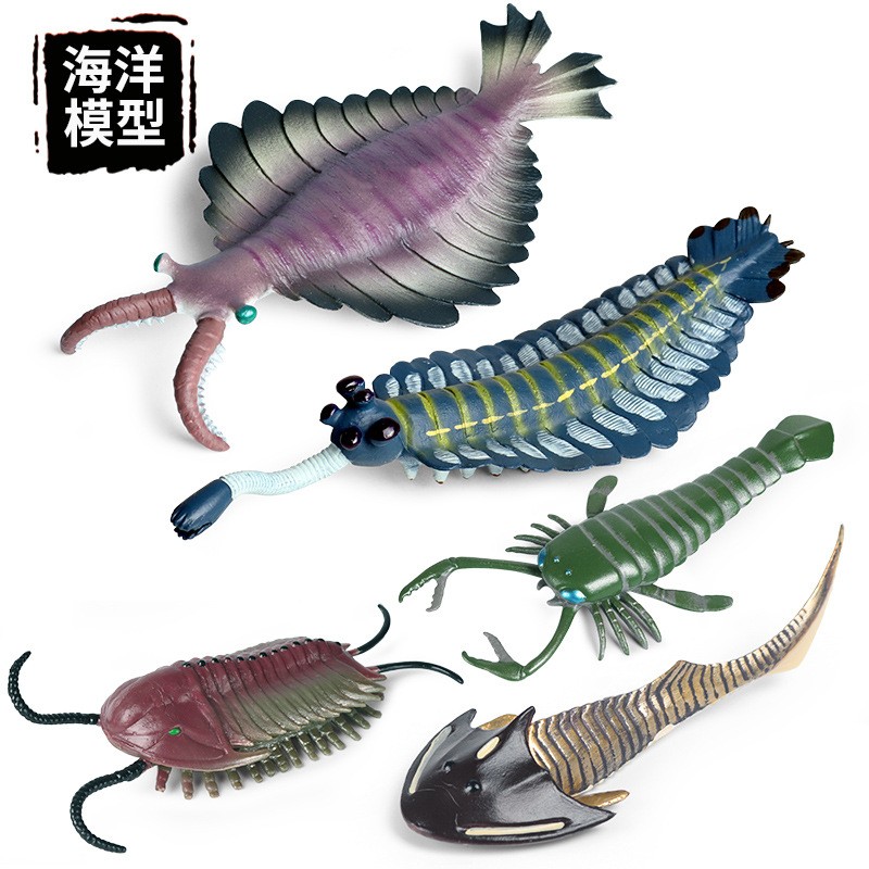 儿童认知玩具仿真海洋海底动物模型摆件寒武纪远古生物奇虾鹦鹉螺