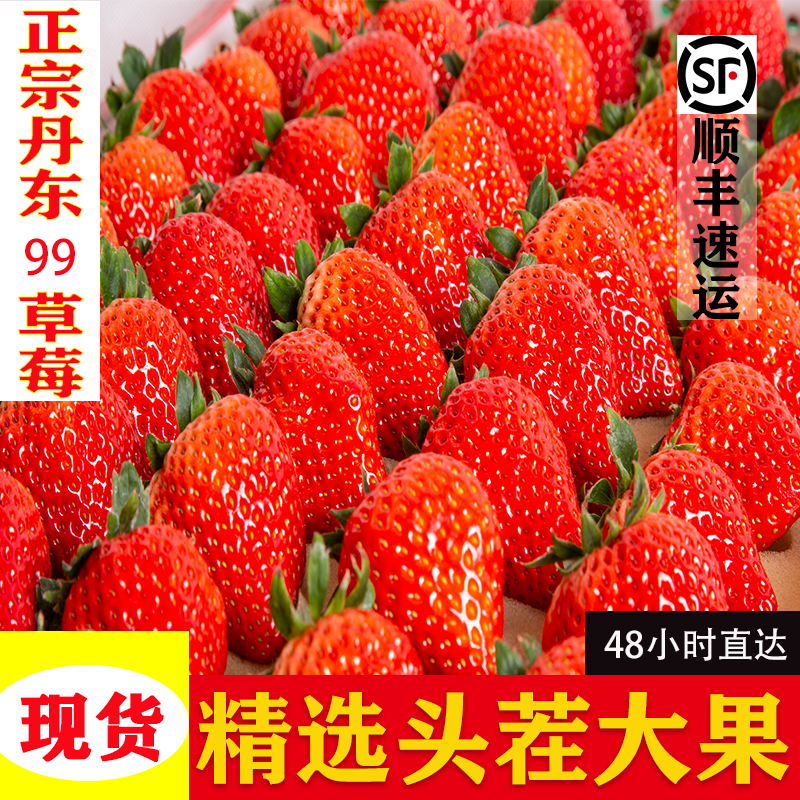 丹东99草莓新鲜水果奶油牛奶孕妇东港大草莓当季整箱礼盒包邮3斤
