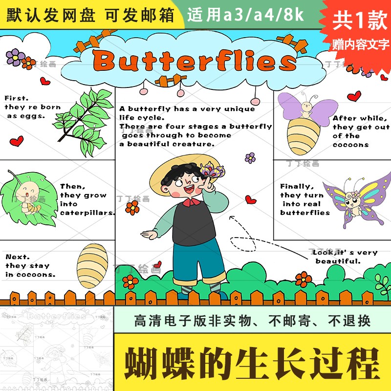 小学生记录蝴蝶的生长过程手抄报电子版a3a4蝴蝶的一生手抄报涂色
