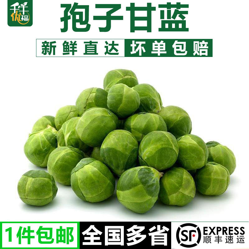 【千牛优福】孢子甘蓝1-5斤新鲜甘蓝球芽甘蓝小包菜卷心甘蓝菜