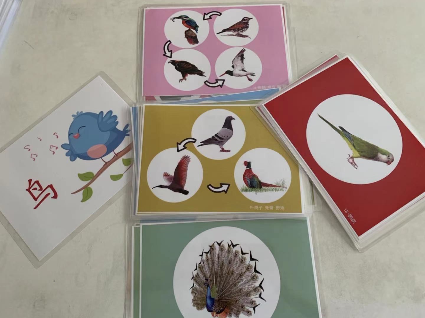 鸟各种各样的食物早教音乐闪卡歌曲七天真动物卡片儿童教具幼儿园