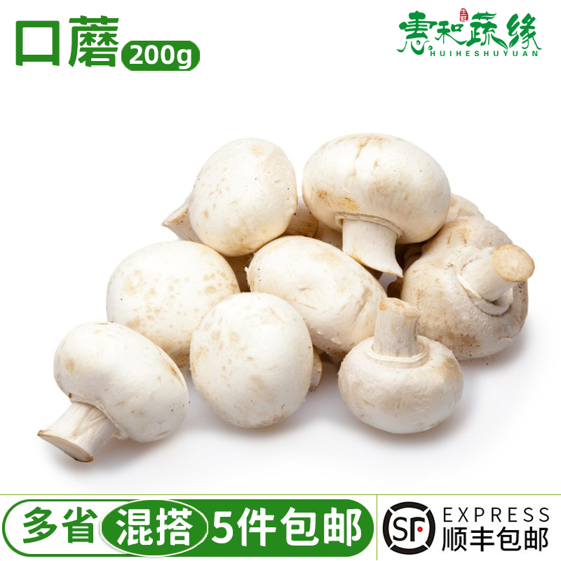 口蘑新鲜白蘑菇双孢菇煲汤火锅烧烤食材酒店蔬菜食用菌菇时令蔬菜