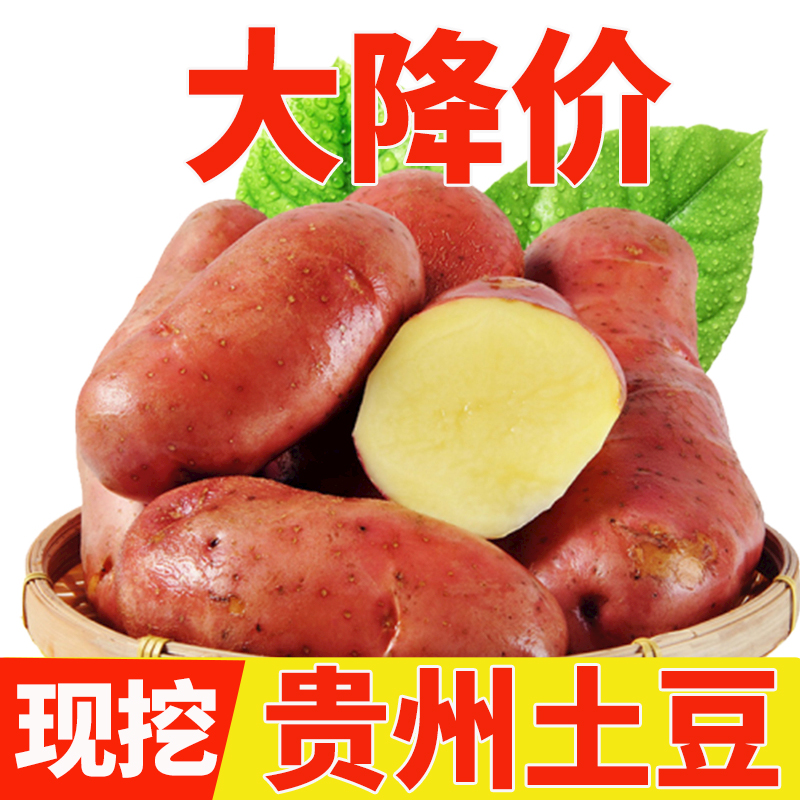 贵州农家农村现挖现发新鲜红皮黄心大个土豆洋芋马铃薯正宗批发