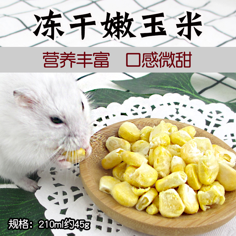 仓鼠爱吃小零食冻干嫩甜玉米粒营养丰富补充能量躺手训练亲近20克