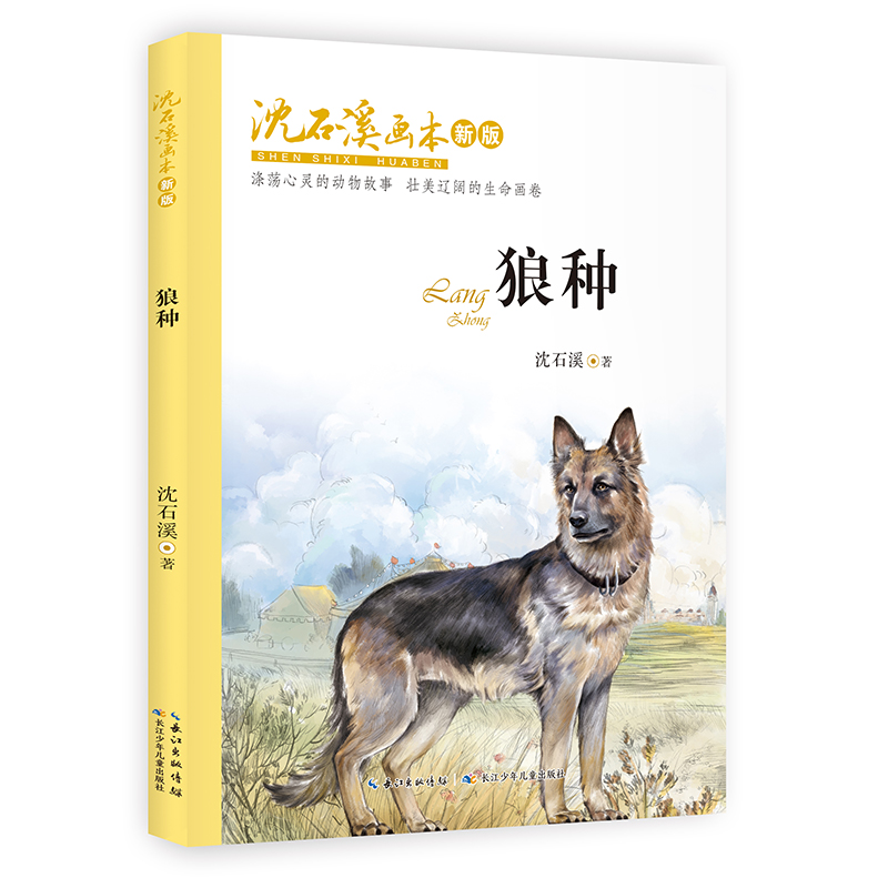 【当当网 正版书籍】沈石溪画本（新版）·狼种 本书讲的是一条名叫大灰的狼狗的故事