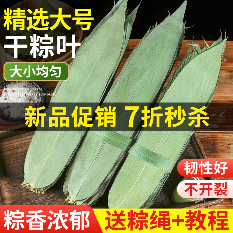 粽子叶粽叶干大号棕叶新鲜包粽子的竹叶子干粽叶商用箬叶批发材料