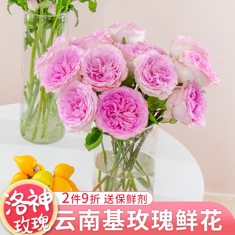 洛神玫瑰鲜花云南基地直发鲜切花家用室内水养办公室插花花束搭配