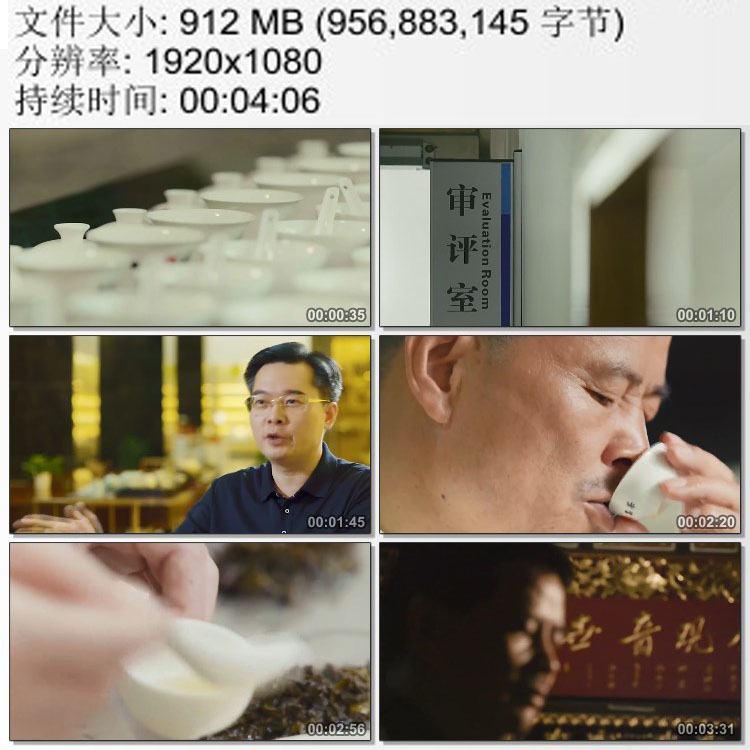安溪铁观音茶文化 评茶师传统手工艺标准化茶叶 高清实拍视频素材