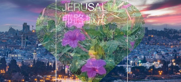 2024以色列耶路撒冷旅游攻略图（电子版）自由行景点美食旅行指南