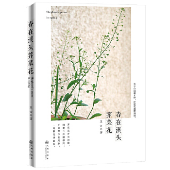 【正版包邮】 春在溪头荠菜花 王方 九州出版社
