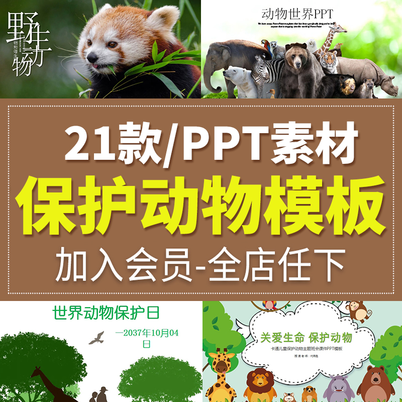 保护野生动物班会珍稀世界动物保护日宣传关爱生命课件PPT模板