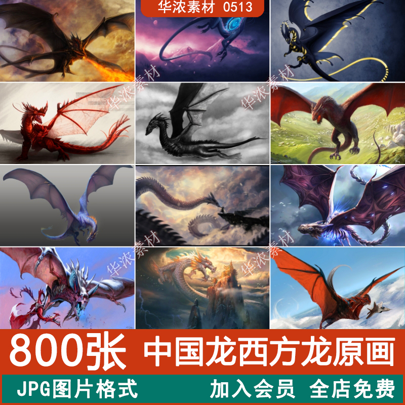 中国龙西方龙恐龙飞龙龙族火龙魔幻怪兽CG原画概念设定参考PS素材