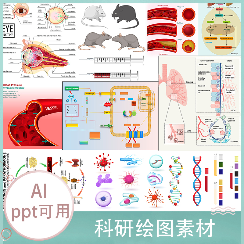 流程图通路图器官图医学插图ppt科研绘图素材细胞生物医学AI模板