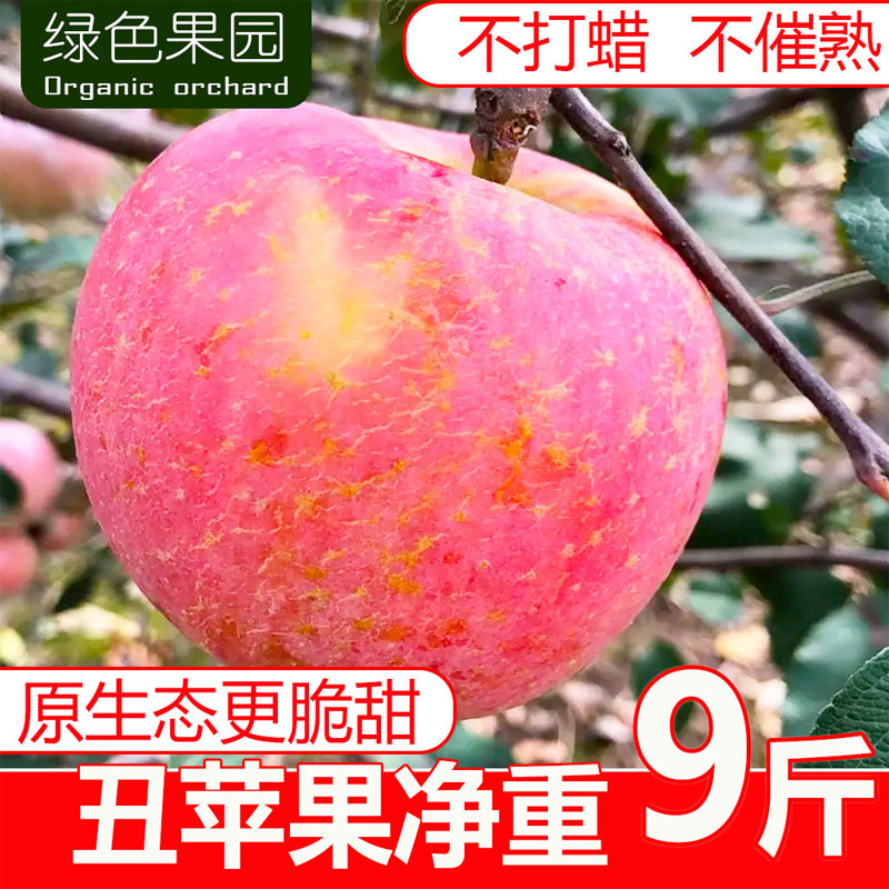 新鲜红富士丑苹果净重9斤高山水果山西运城脆甜大平果非冰糖心
